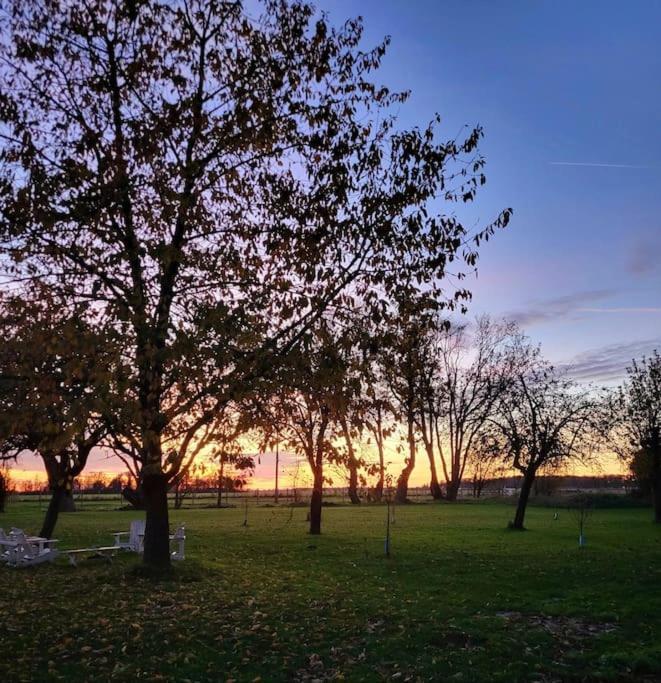 Gite Au Haras D'Agathe Et Ses Princes Les Barils Exteriér fotografie